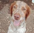 RUFO