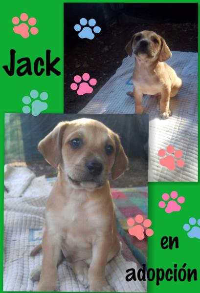 JACK