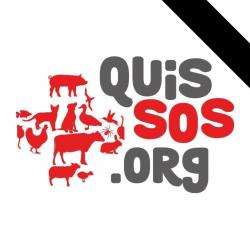 Quissos.org
